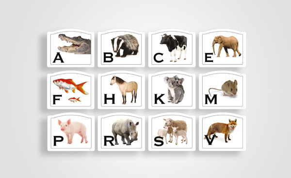 Lettres de dressage animal - 20x60